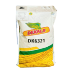 DK6321 corn seed