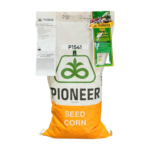 P1541 Hybrid Corn Seed (3,500 Kernels) – Pioneer® by Corteva