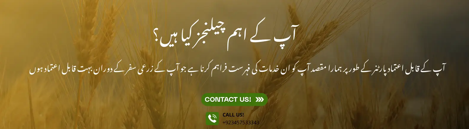 آپ کے اہم چیلنجز کیا ہیں؟